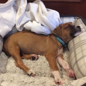 Meet your Posher, Ciara